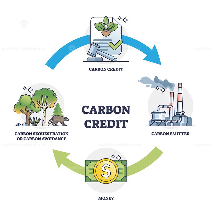 Sustainability Process