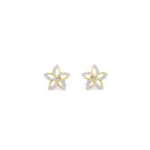 Celestial Petal Earrings