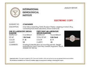 igi certificate